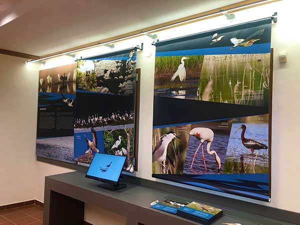 Αίθουσα βιοποικιλότητας της λίμνης Πολυφύτου, στο Κέντρο Περιβαλλοντικής Εκπαίδευσης Βελβεντού