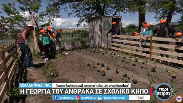 Αχλάδα Φλώρινας: Η γεωργία του άνθρακα σε σχολικό κήπο (video)