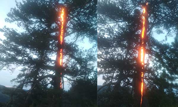 Κεραυνός χτυπάει δέντρο στην Σμίξη Γρεβενών