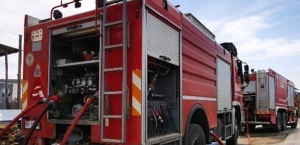 Κοζάνη: Πυροσβέστες διέσωσαν σκύλο από γεώτρηση στο γηροκομείο