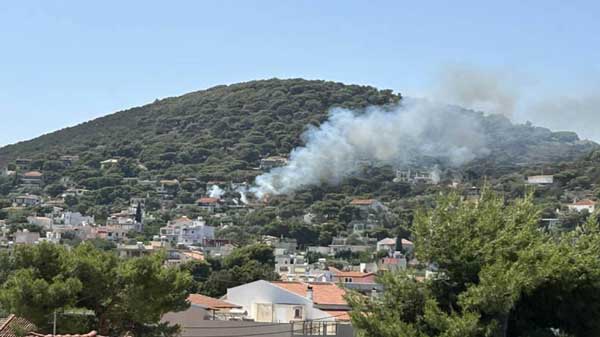 Φωτιά κοντά σε σπίτια στην Αρτέμιδα