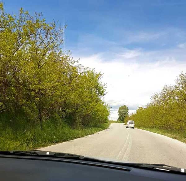 Εορδαία: Χόρτα και κλαδιά απειλούν την ασφάλεια των οδηγών στην Ε.Ο. Πτολεμαΐδας- Γαλάτειας