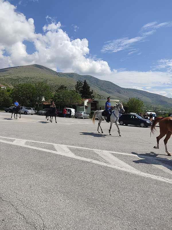 Πραγματοποιήθηκε στην Σιάτιστα η 12η Πανελλήνια Συγκέντρωση Φίλων Ελεύθερης Ιππασίας