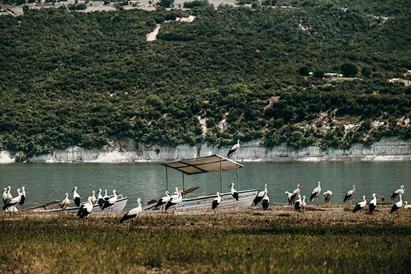 Δημήτρης Βαβλιάρας: Ένα μικρό δείγμα από την καταγραφή γύρω από το Πλατανόδασος Ρυμνίου