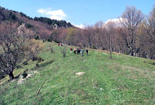 Ο Σύλλογος Ελλήνων Ορειβατών Κοζάνης διοργανώνει εξόρμηση στον Όλυμπο