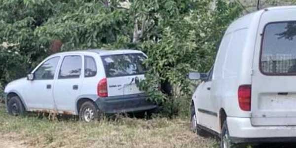 Σιάτιστα: Αρκούδες μέσα σε σπίτι, έτρωγαν κεράσια – Βίντεο