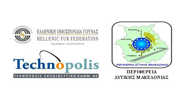 Ανακοίνωση Προσωρινών Αποτελεσμάτων της υπ’ αρθμ. 02/2023 Πρόσκλησης Εκδήλωσης Ενδιαφέροντος