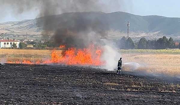 Φωτιά σε χωράφι με σιτηρά λίγο έξω από την Πτολεμαΐδα – Δύο οχήματα της Πυροσβεστικής με έξι άνδρες στο σημείο