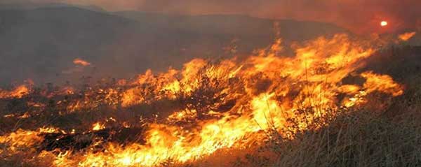 Διεύθυνση Αγροτικής Οικονομίας Π.Ε. Κοζάνης: Απαγορεύεται η καύση αγροτικών εκτάσεων – υπολειμμάτων καλλιεργειών