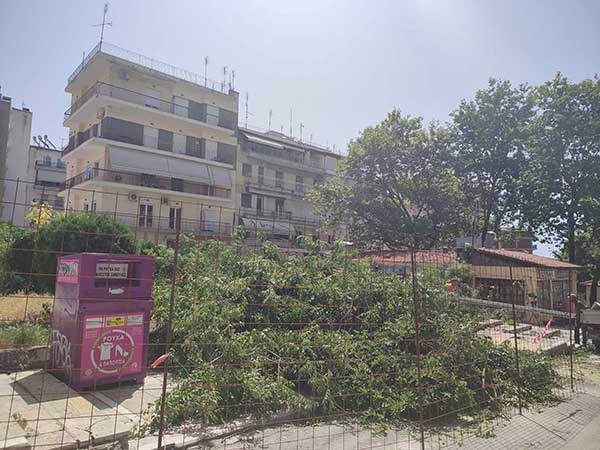 Κοπή δέντρων στην πλατεία Λασσάνη