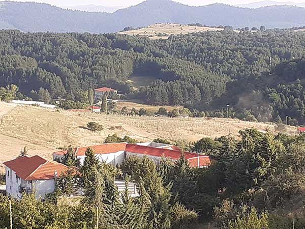 Τι αποφάσισε η Αποκεντρωμένη για την αξιοποίηση του δάσους του Λιβαδερού-Ποιος θα αποφασίσει για το ιδιοκτησιακό;