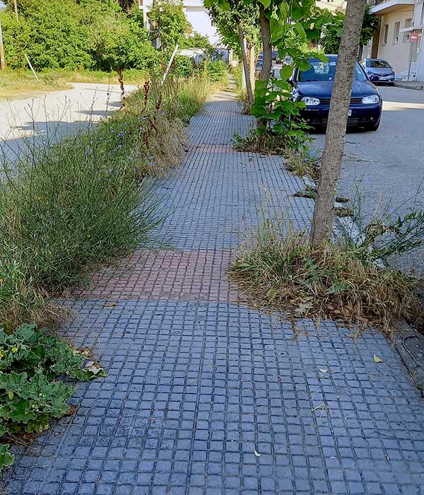 Γιάννης Ιωαννίδης: Χόρτα… τον Αύγουστο