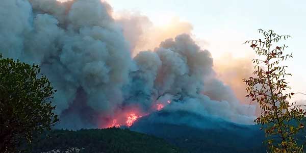 Φωτιά στον Έβρο: Εντοπίστηκαν 18 απανθρακωμένοι μετανάστες στο δάσος της Δαδιάς