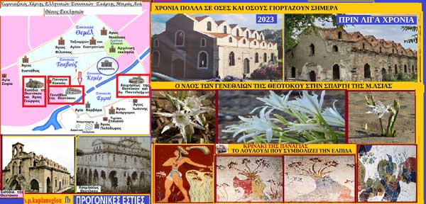 Τα κρινάκια της Παναγίας ή κρινάκια της θάλασσας