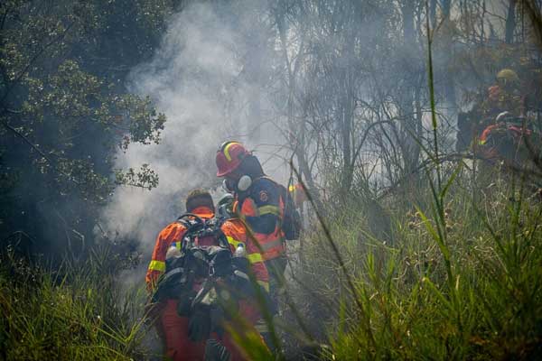 Υπό έλεγχο η φωτιά στη Δεσκάτη Γρεβενών