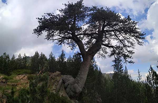 Ο Ε.Ο.Σ. Κοζάνης οργανώνει την Κυριακή 3/9 εξόρμηση στη Βάλια Κάλντα