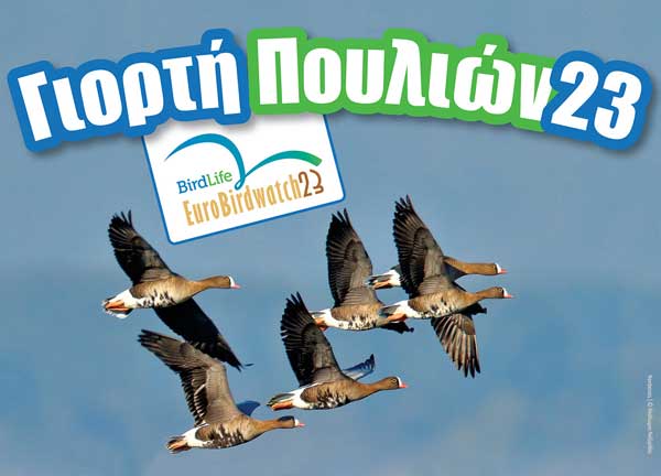 Έρχεται η «Ευρωπαϊκή Γιορτή Πουλιών 2023» στην Καστοριά
