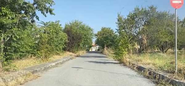 Γέμισε με χόρτα η πόλη της Κοζάνης -Δείτε  βίντεο από τα Πλατάνια