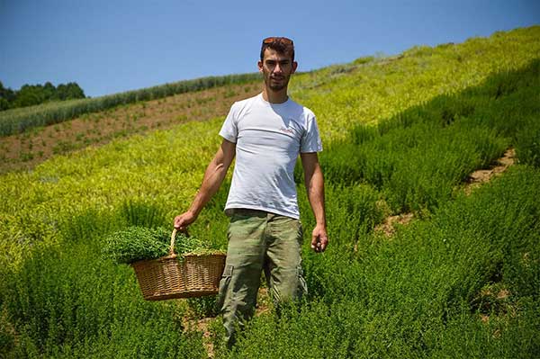 Ο νεαρός γεωπόνος από τα Γρεβενά που δίνει «Γεύση Βουνού» 450 χιλιόμετρα μακριά από την πρωτεύουσα