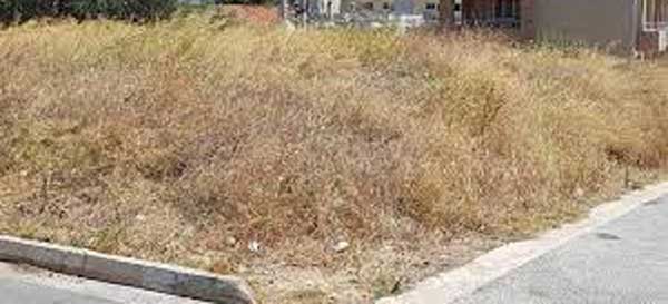 Αναλαμβάνουμε τον καθαρισμό οικοπέδων στην Κοζάνη και σε χωριά
