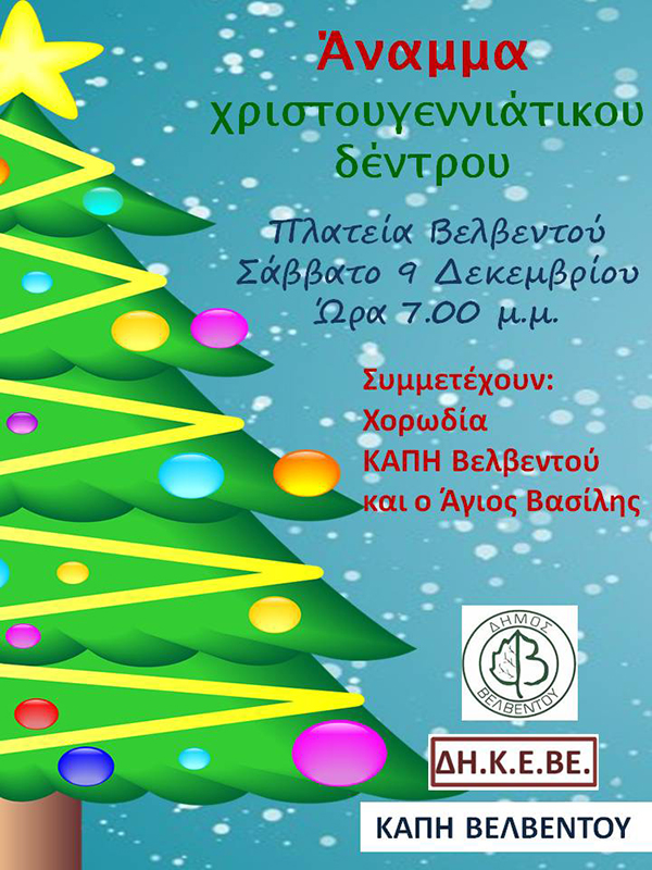 Άναμμα χριστουγεννιάτικου δέντρου στο Βελβεντό, το Σάββατο 9 Δεκεμβρίου