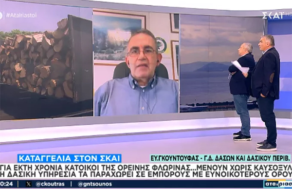 Για έκτη χρονιά κάτοικοι της ορεινής Φλώρινας μένουν χωρίς καυσόξυλα – Τι λέει ο Γενικός Διευθυντής Δασών