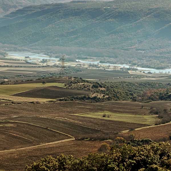Ο Χαρίσιος Γκοβεδάρος για τις προοπτικές της Αιανής στον αγροτικό τομέα