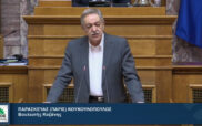 Πάρις Κουκουλόπουλος:  «Η Ενεργειακή Δημοκρατία και δυο προτάσεις άμεσης εφαρμογής για τη Δυτική Μακεδονία»