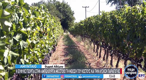 Αμύνταιο: Η ευφυής γεωργία στην αμπελουργία