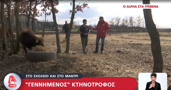 Γρεβενά: Στο σχολείο και στο μαντρί – «Γεννημένος» κτηνοτρόφος