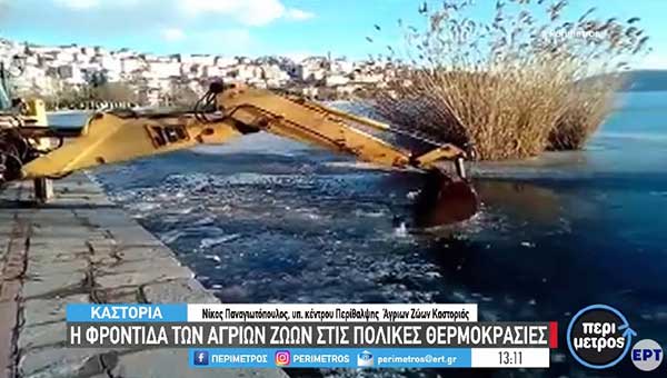 Καστοριά: Σε ετοιμότητα το Κέντρο Περίθαλψης στην περίπτωση που παγώσει η λίμνη