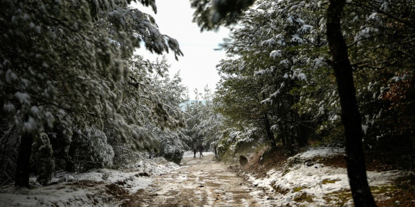 Το παράδοξο του καιρού: 0°C το μεσημέρι στην Κοζάνη, 25°C στα Φαλάσαρνα