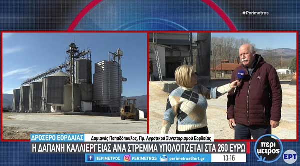 Δροσερό Εορδαίας: Στις αποθήκες του αγροτικού συνεταιρισμού αδιάθετοι 3.000 τόνοι καλαμποκιού