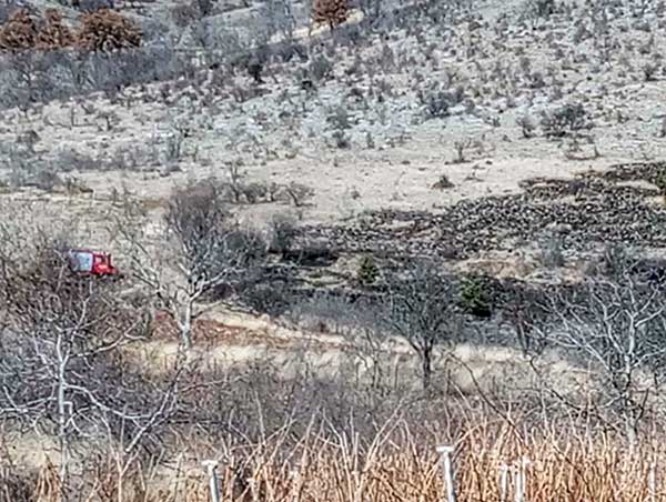 Φωτιά σήμερα το μεσημέρι σε χορτολιβαδική έκταση στην Μπάρα Σιάτιστας