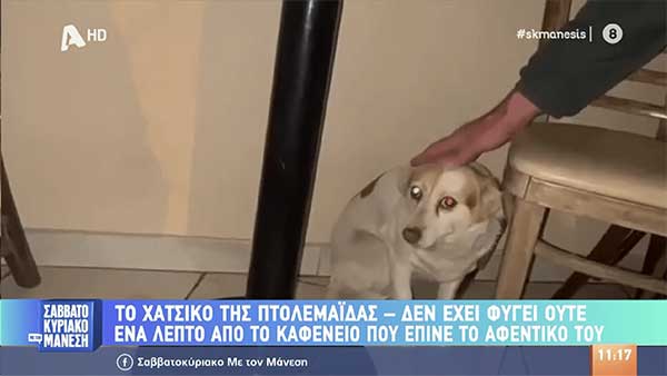 Το Χάτσικο της Πτολεμαΐδας: Πάει κάθε μέρα στο καφενείο που έπινε καφέ το αφεντικό της