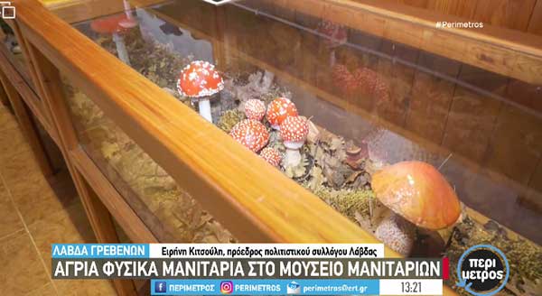 Μικρογραφία της φύσης το μουσείο μανιταριών στη Λάβδα Γρεβενών