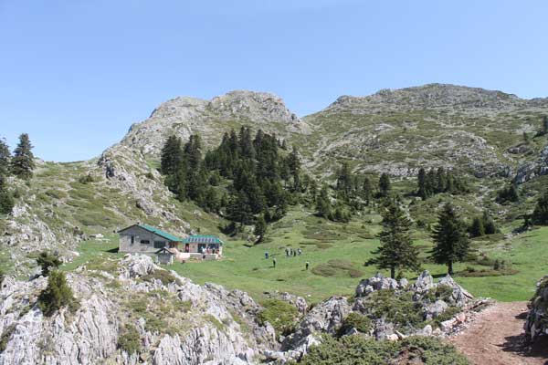 Ο Ε.Ο.Σ. Κοζάνης διοργανώνει την Κυριακή 31.3.2024 ορειβατική εξόρμηση στον Κόζιακα (ή Κερκέτιο όρος)