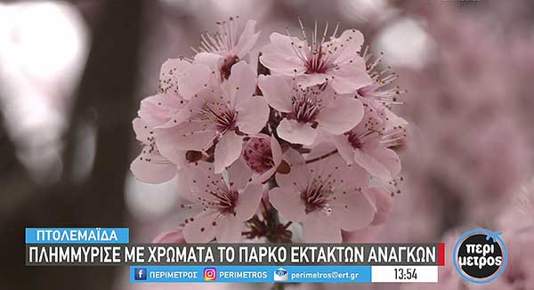 Πλημμύρισε με χρώματα το πάρκο έκτακτων αναγκών στην Πτολεμαΐδα