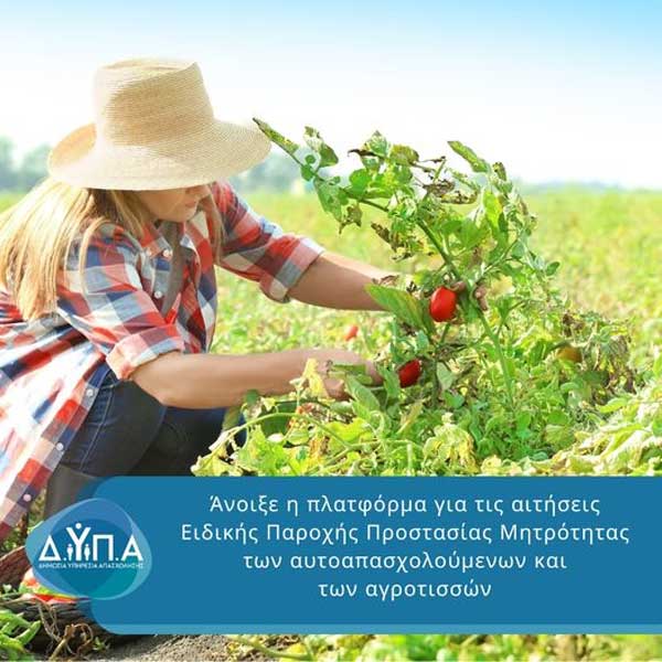 Άνοιξε η πλατφόρμα για τις αιτήσεις Ειδικής Παροχής Προστασίας Μητρότητας των αυτοαπασχολούμενων και των αγροτισσών