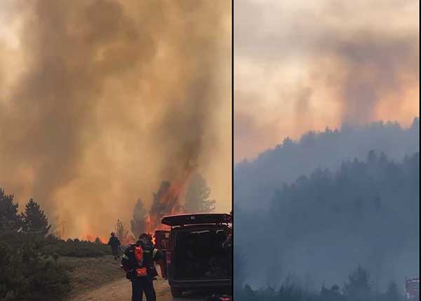 Σε πλήρη εξέλιξη η φωτιά στα Πιέρια-Κατευθύνεται προς Καταφύγι