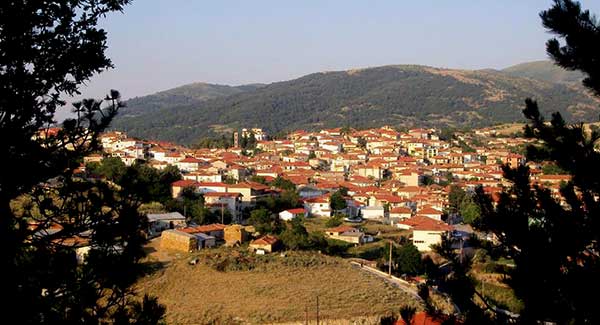 Δημοτική Ενότητα Λιβαδερού: Το δάσος δεν είναι δημοτικό, είναι ιδιωτικό – Ναι από το Δ.Σ. Σερβίων στην εφαρμογή της διαχειριστικής μελέτης αξιοποίησης του δάσους