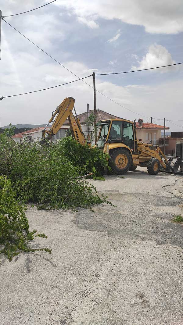 Καθαρισμός δρόμων από χόρτα και κόψιμο περιττών δέντρων στο Μεταξά