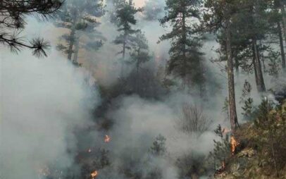 Το παράδοξο με τις πρώτες δασικές πυρκαγιές (και των Πιερίων) σε υψόμετρο πάνω από 1.700 μέτρα