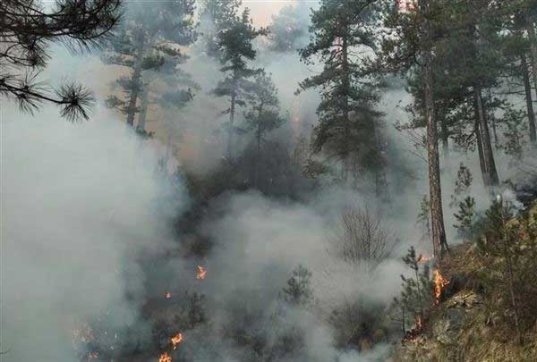 Το παράδοξο με τις πρώτες δασικές πυρκαγιές (και των Πιερίων) σε υψόμετρο πάνω από 1.700 μέτρα