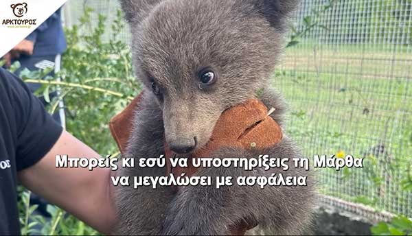 Η Μάρθα θα μείνει στον Αρκτούρο μέχρι να μεγαλώσει και μας χρειάζεται όλους