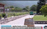 Οι «δρόμοι του κρασιού» στην Καστοριά: 27 οινοποιεία μας μυούν στα μυστικά της οινοποσίας