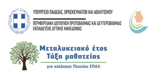 Πρόσκληση για διάθεση θέσεων αποφοίτων ΕΠΑ. Λ στο Μεταλυκειακό Έτος  -Τάξη Μαθητείας περιόδου 2024 -2025