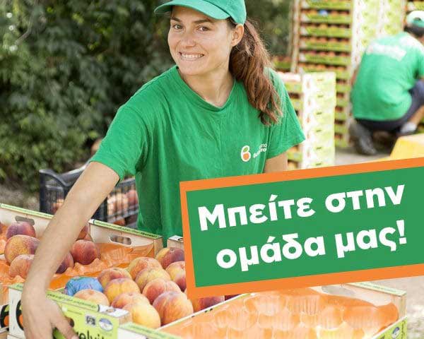 Ο ΑΣΕΠΟΠ ΒΕΛΒΕΝΤΟΥ για απασχόληση εποχιακού προσωπικού το καλοκαίρι