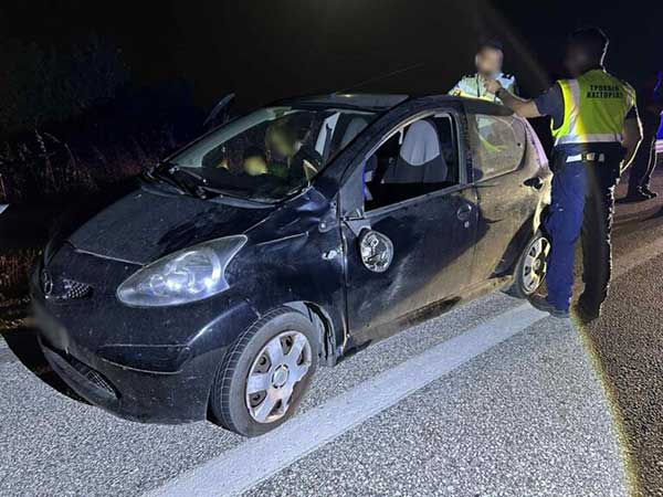 Καστοριά: Αρκούδα συγκρούστηκε με αυτοκίνητο στην αερογέφυρα του Άργους Ορεστικού