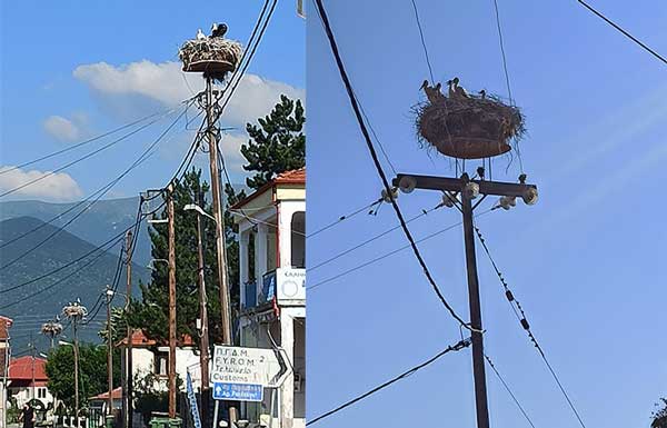 Νίκη Φλώρινας το χωριό των Πελαργών